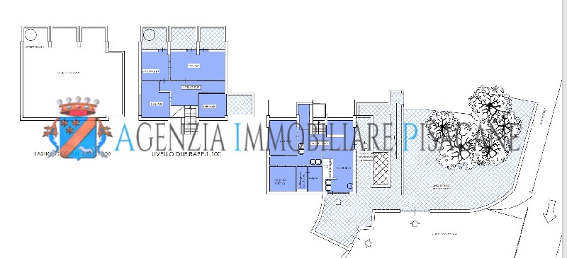 Locali o capannoni in Dei Fiori, 43, Santa Marinella - Locali o capannoni - Estate Agency & Architecture Pisacane