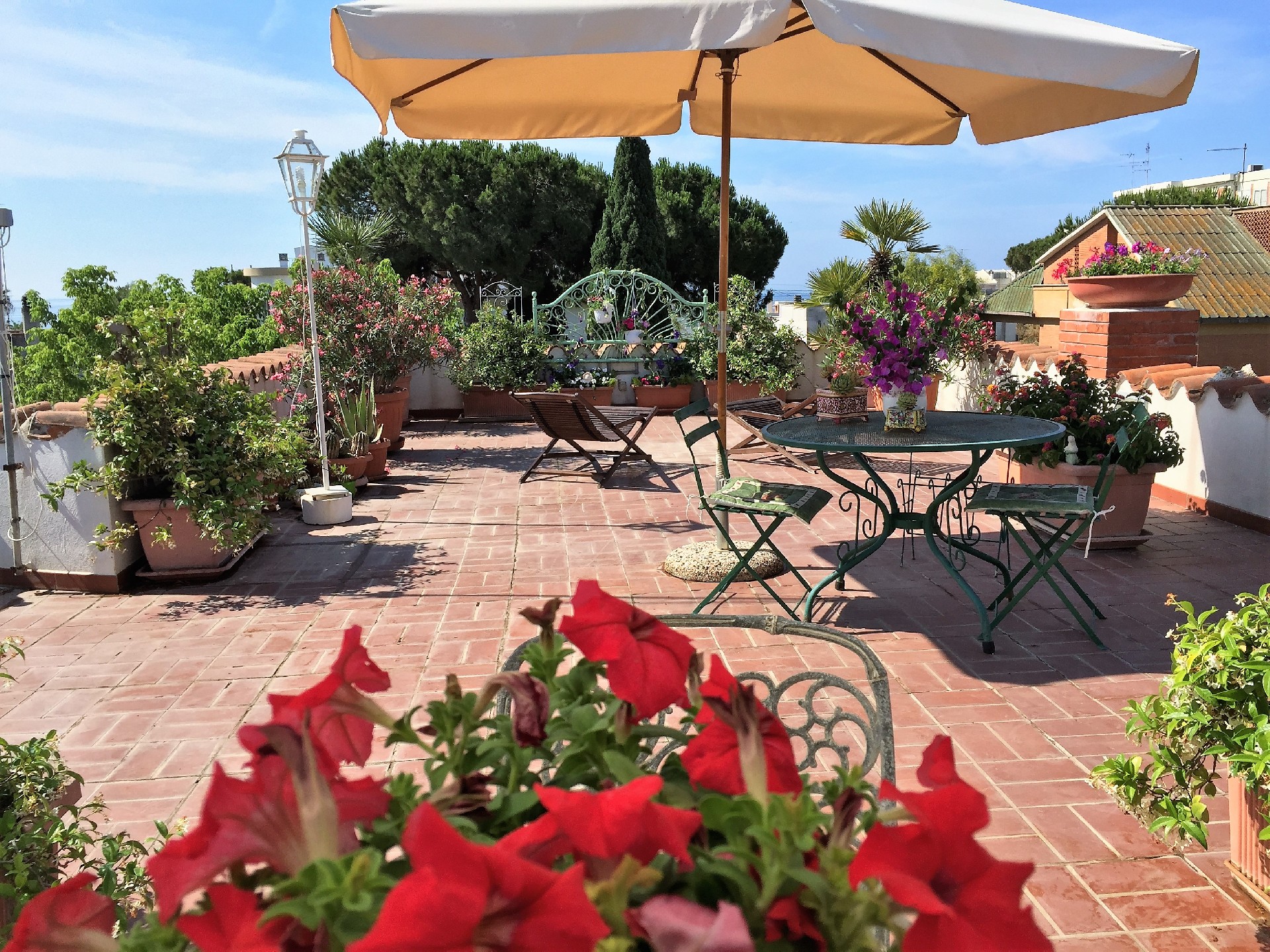  - Agenzia Immobiliare & Architettura Pisacane