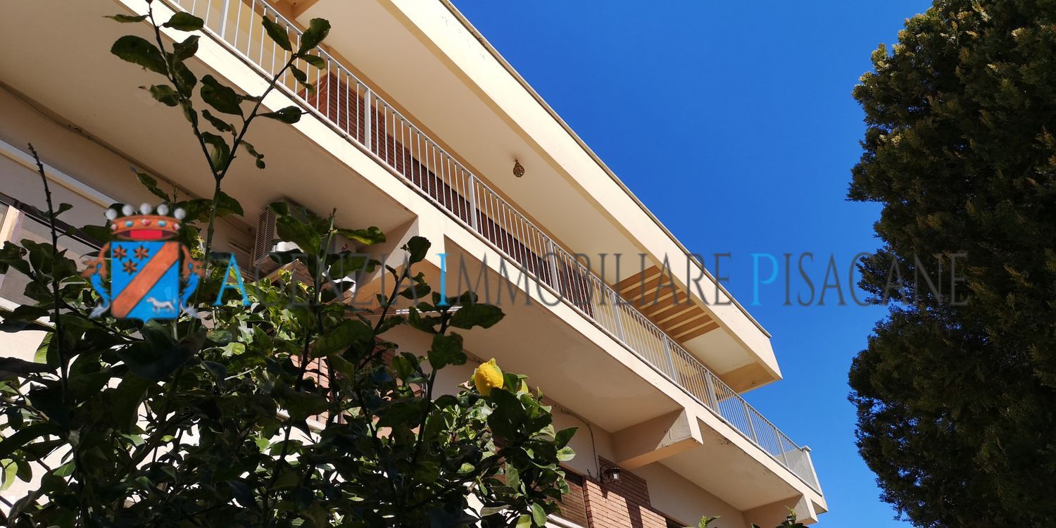  - Estate Agency & Architecture Pisacane