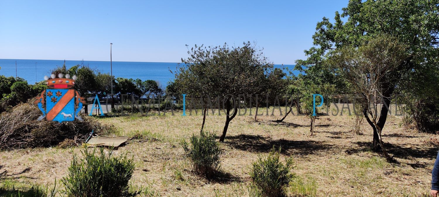  - Agenzia Immobiliare & Architettura Pisacane