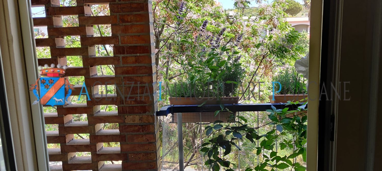  - Agenzia Immobiliare & Architettura Pisacane