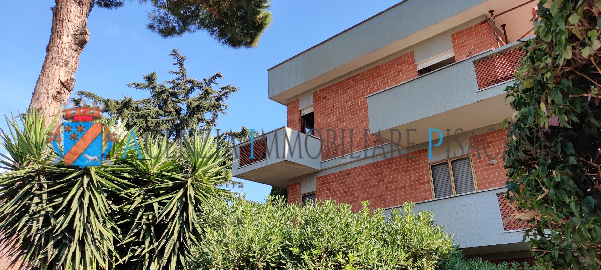 Edificio - Agenzia Immobiliare & Architettura Pisacane