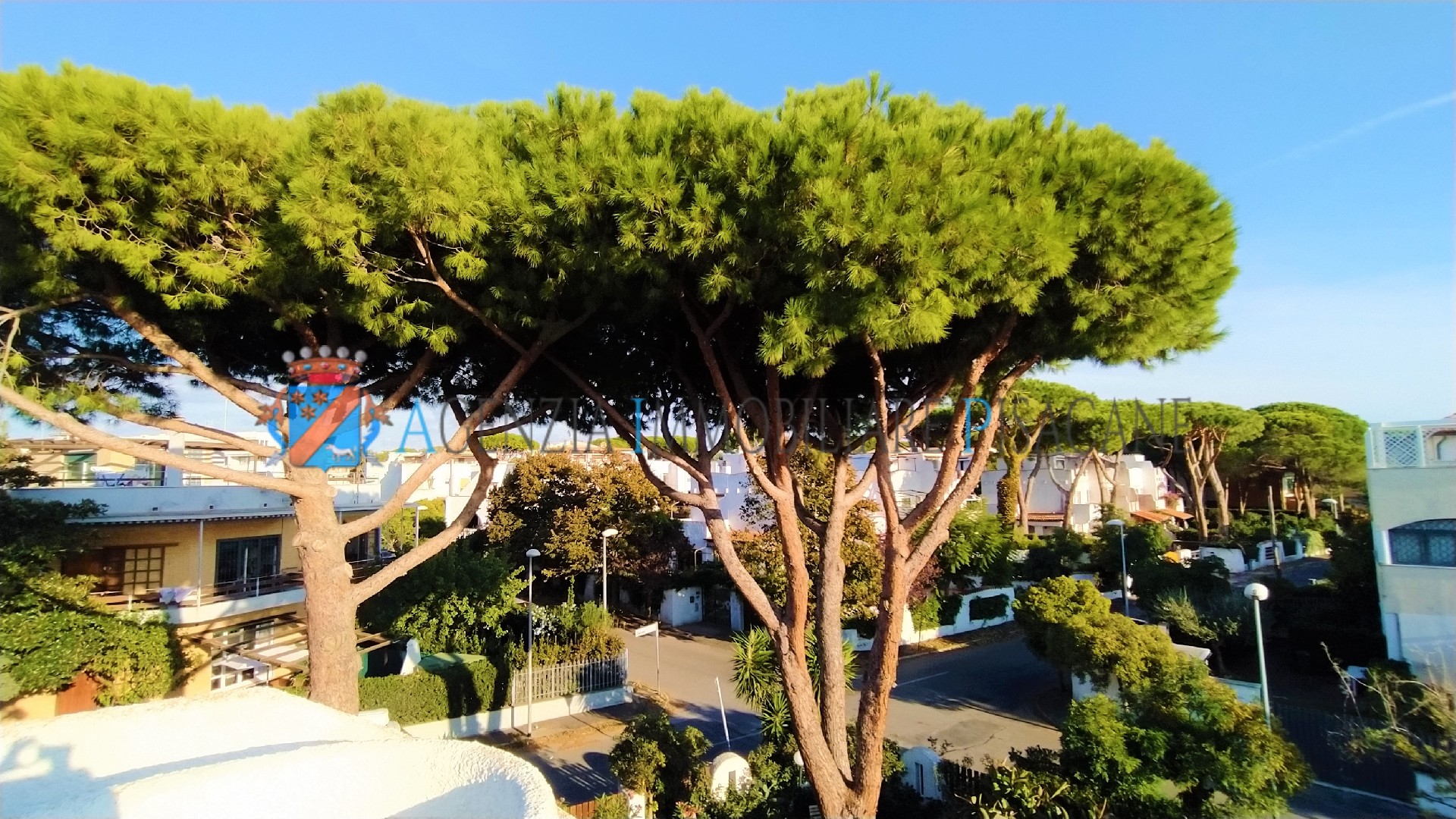 Vista - Agenzia Immobiliare & Architettura Pisacane