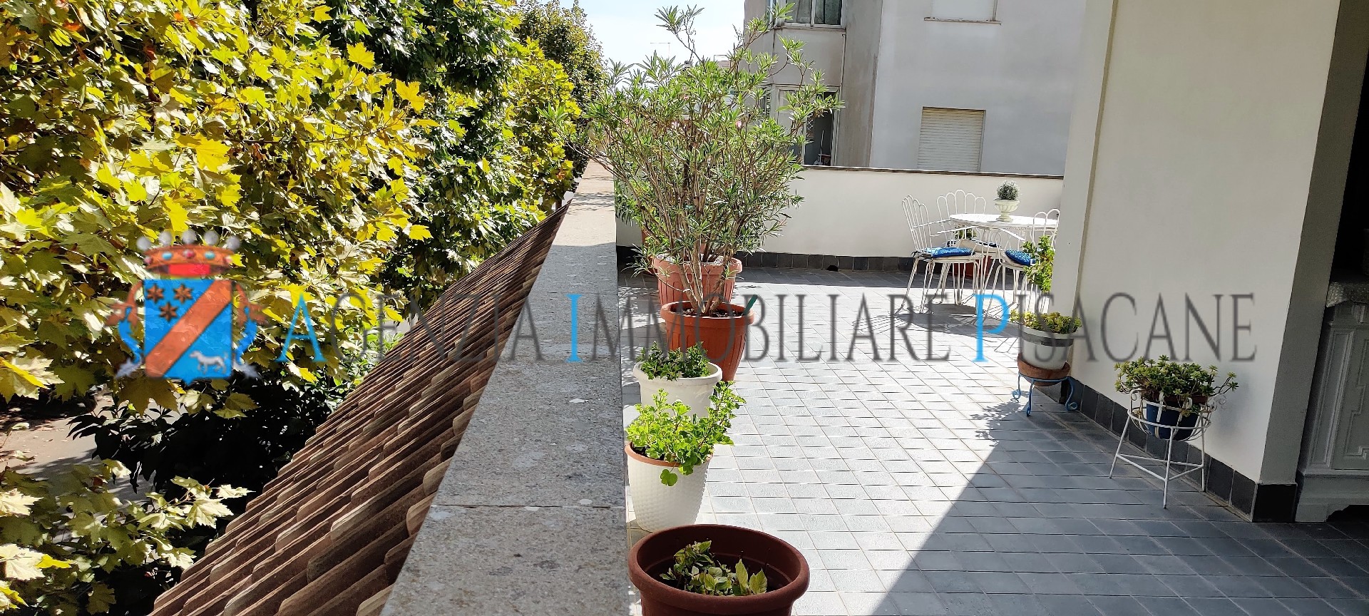  - Estate Agency & Architecture Pisacane