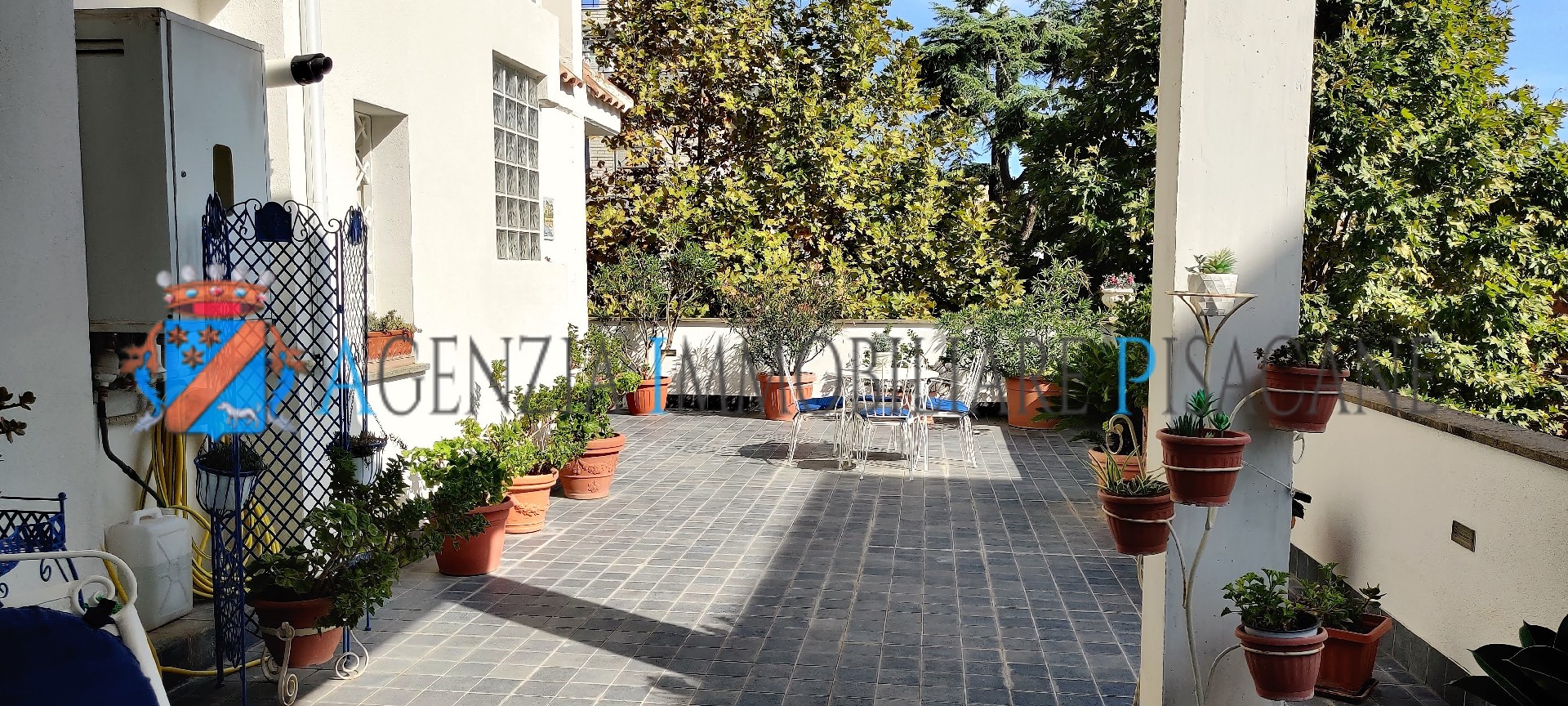  - Estate Agency & Architecture Pisacane