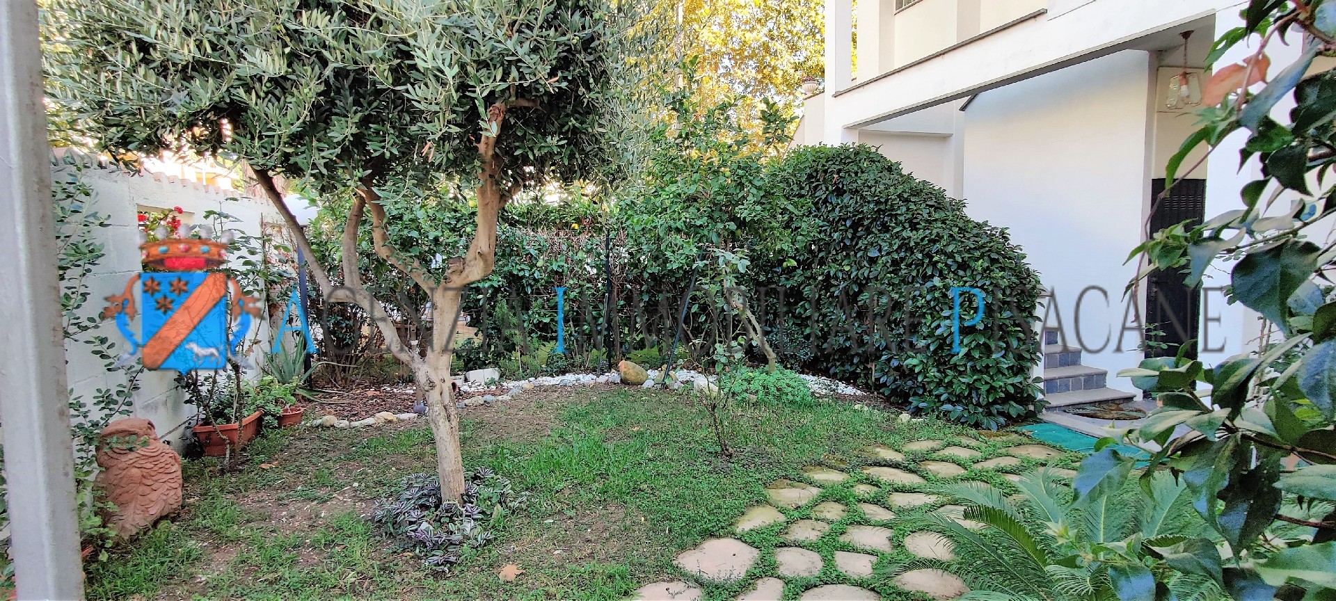  - Estate Agency & Architecture Pisacane