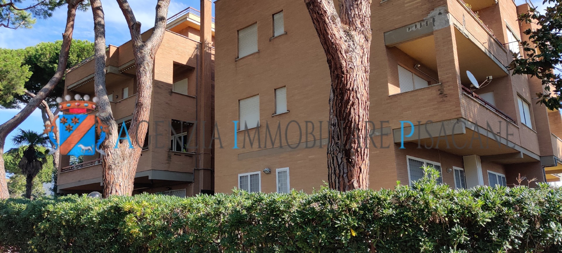 Edificio - Agenzia Immobiliare & Architettura Pisacane