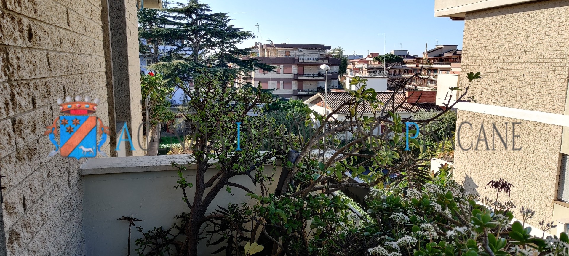  - Agenzia Immobiliare & Architettura Pisacane