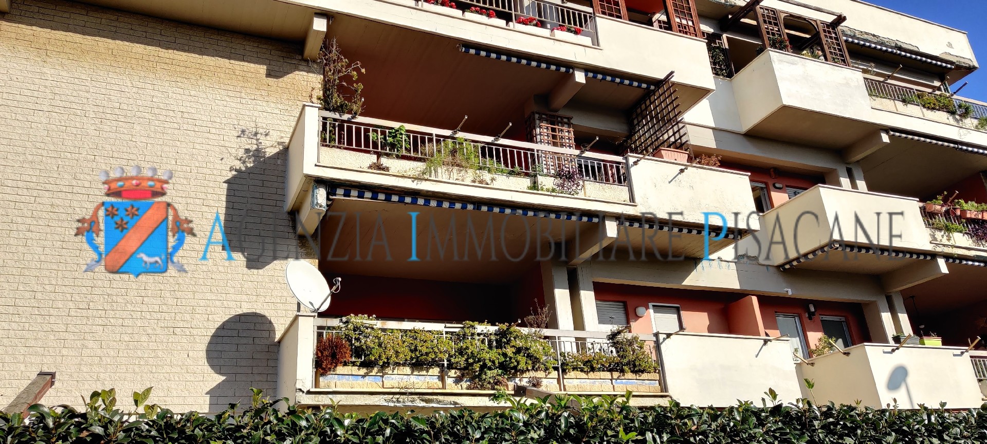  - Agenzia Immobiliare & Architettura Pisacane