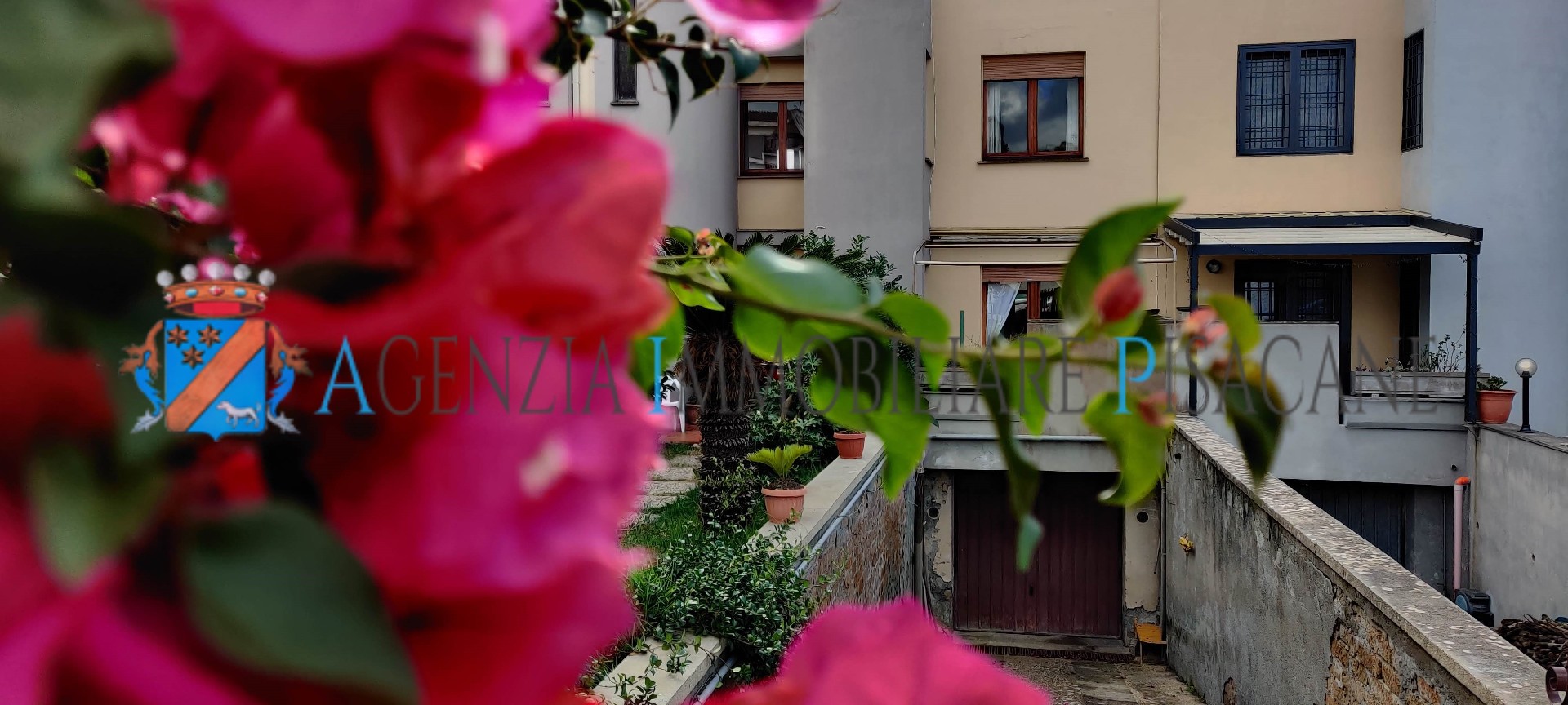 Entrata - Agenzia Immobiliare & Architettura Pisacane