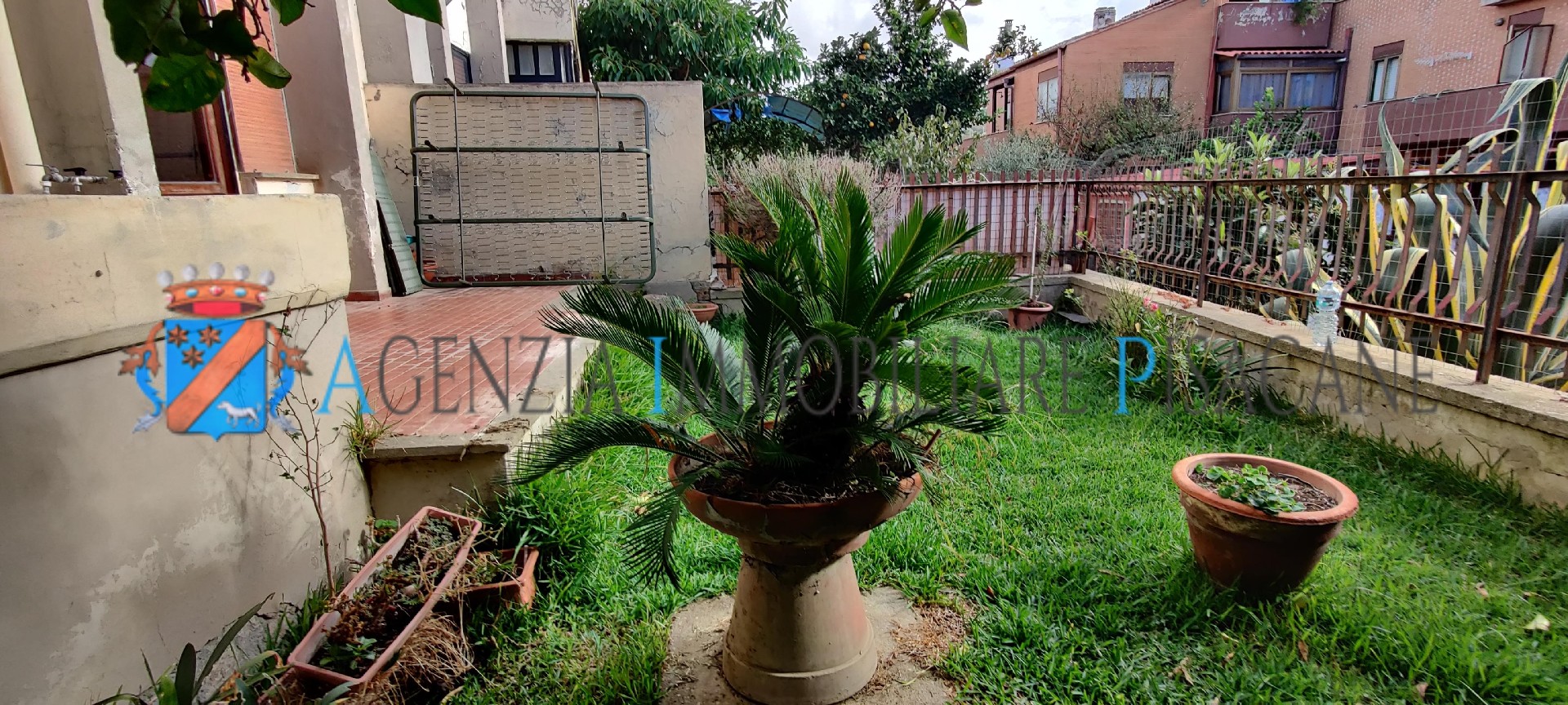 Portico e giardino posteriore con albero di limoni - Agenzia Immobiliare & Architettura Pisacane