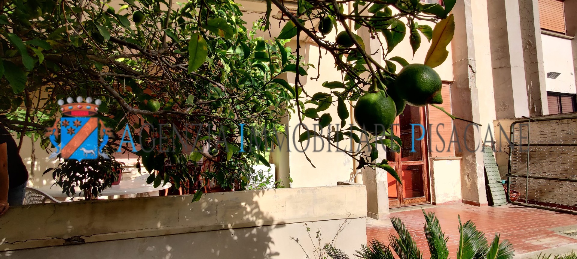 Portico e giardino posteriore con albero di limoni - Агентство недвижимости & Архитектура Pisacane