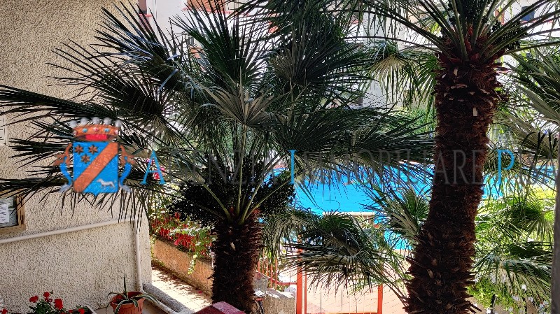 Case e appartamenti in Aurelio Saffi, 9, Maiorca, Santa Marinella - Case e appartamenti - Agenzia Immobiliare & Architettura Pisacane